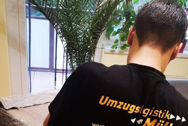 Preise für Ihren Studentenumzug in Machern